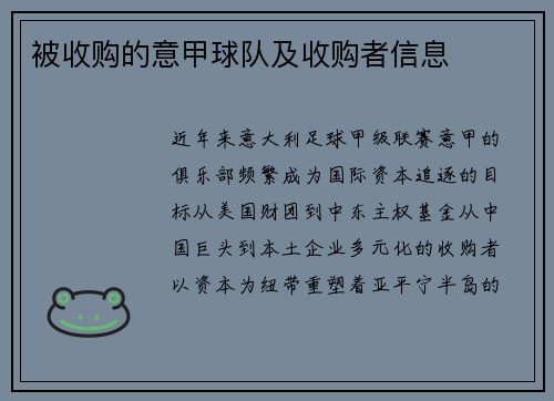 被收购的意甲球队及收购者信息
